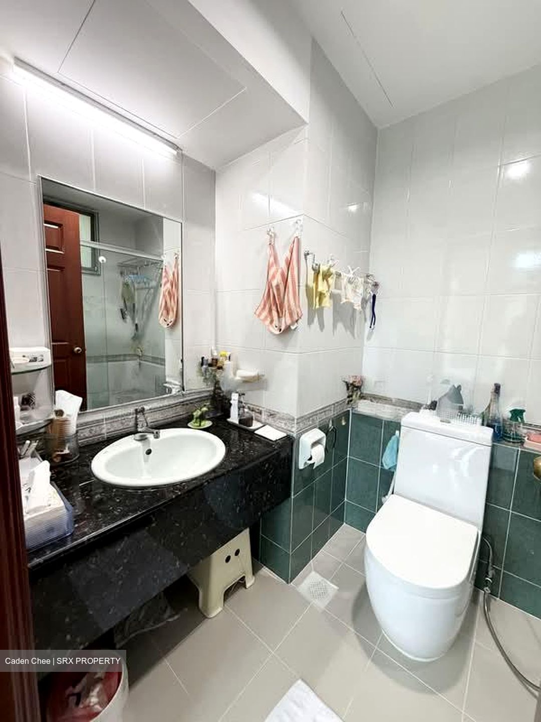 Hume Park II (D21), Condominium #574911521